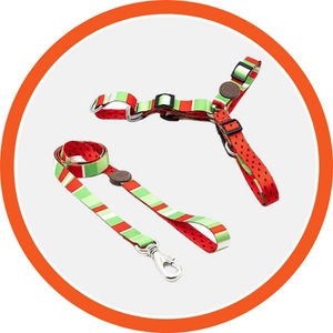 Coleiras, Guias e Peitorais